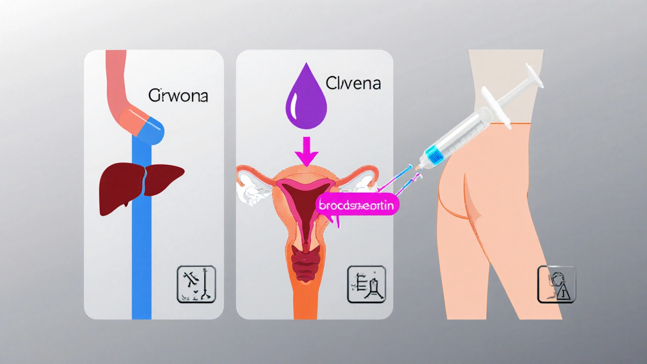 Illustration comparing oral, vaginal, and injectable progesterone absorption paths with organ silhouettes and colored arrows.