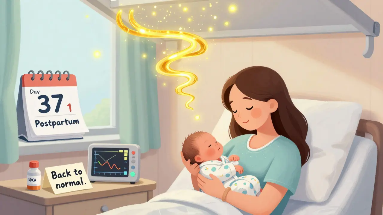 New mother smiling after delivery as golden bile acids dissolve into fireflies, with medical notes and a bottle of UDCA on the table.