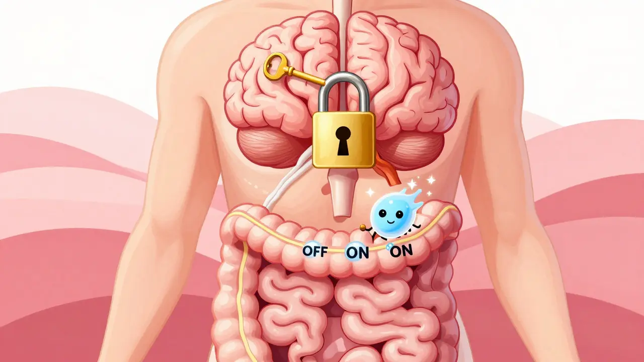 Conceptual drawing of a switch activating gut movement while keeping brain pain relief active.